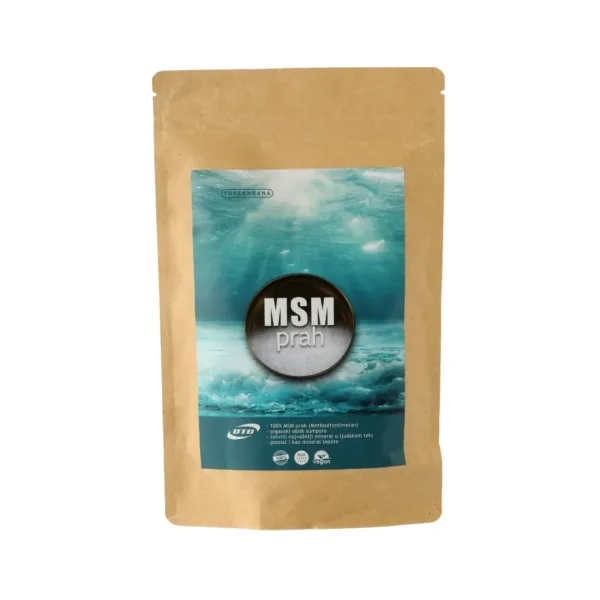 MSM prah 100g DTC