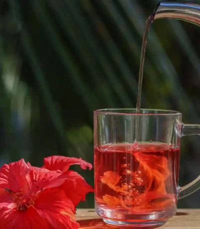 Čaj Hibiskus