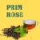 Prim Rose čajevi